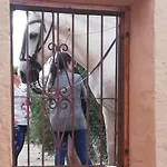 Hotel Turistico La Almazara *