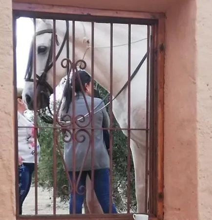 Hostal Turístico La Almazara *