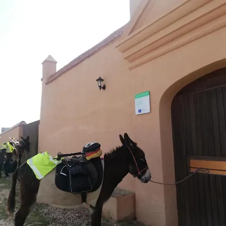 Turistico La Almazara *