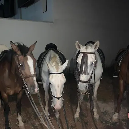 Hotel Turistico La Almazara Villafranca de los Barros