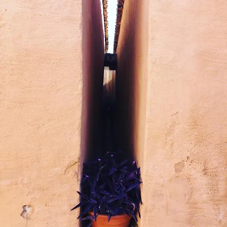 Hotel Turistico La Almazara *