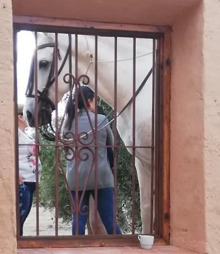 Hotel Turistico La Almazara *