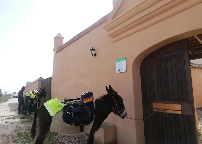 Turistico La Almazara *