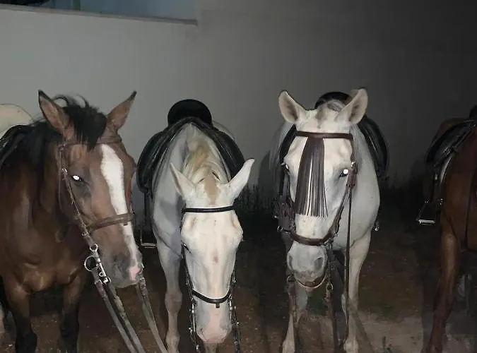 Hotel Turistico La Almazara Villafranca de los Barros