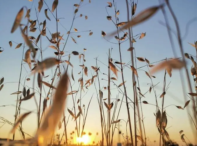 Turistico La Almazara Отель *